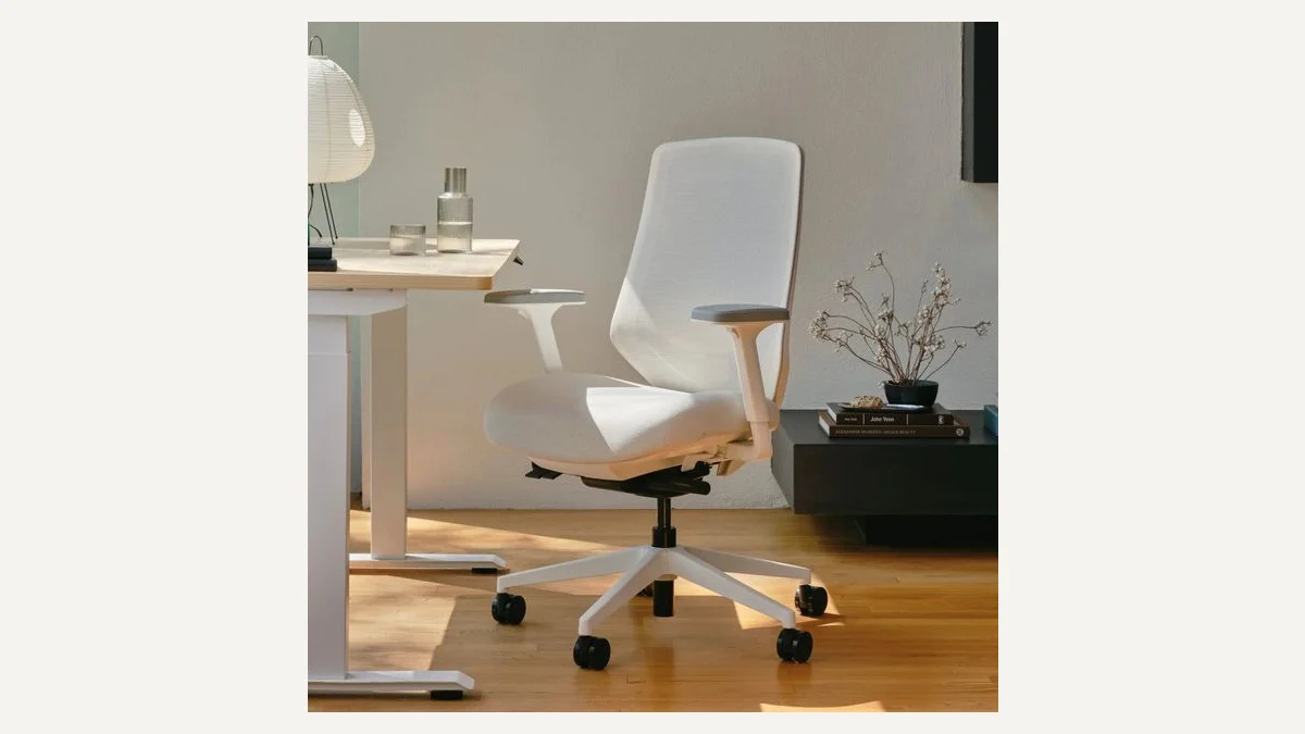 Branch Ergonomic Chair Pro with adjustable lumbar support