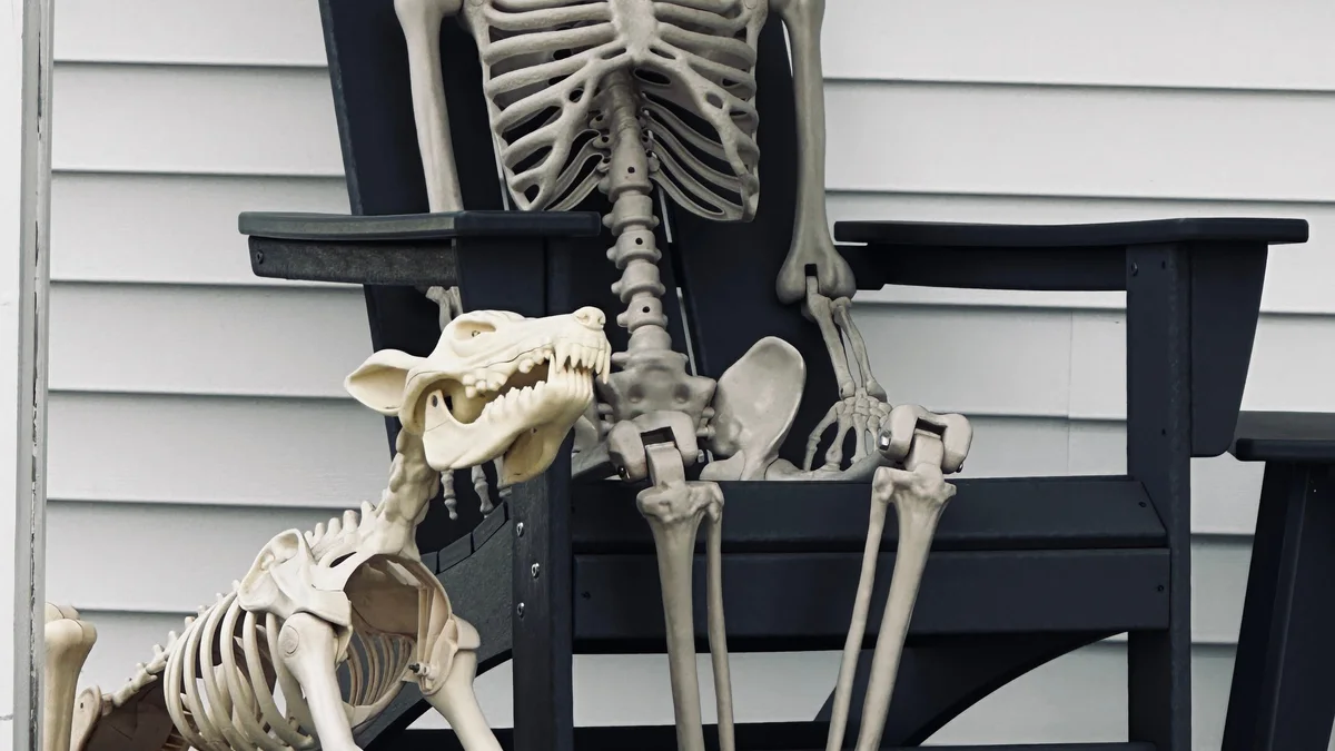 Minimalist life-sized skeleton sitting casually on an outdoor porch bench under subtle ambient lighting