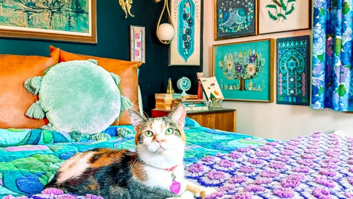 An oversized gallery wall covering nearly the entire wall