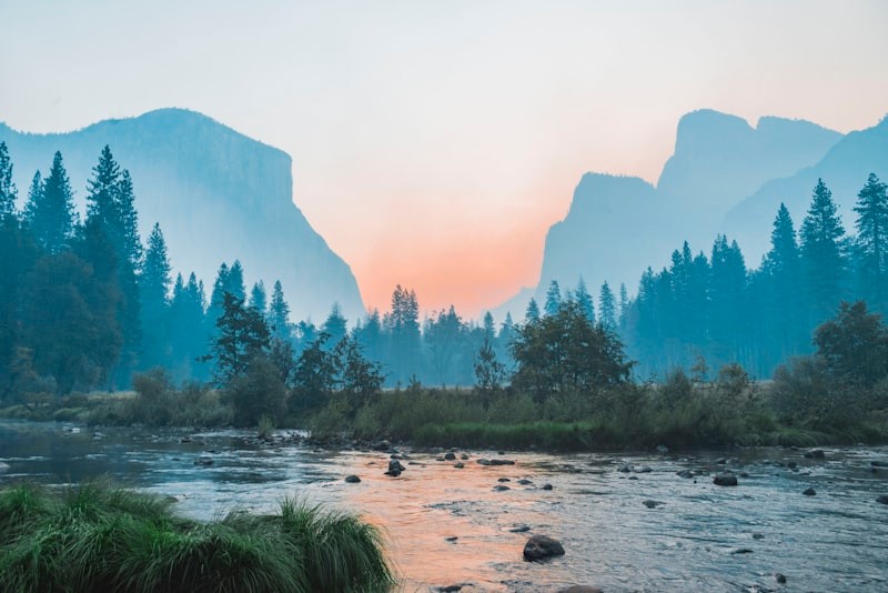 Landscape Mural