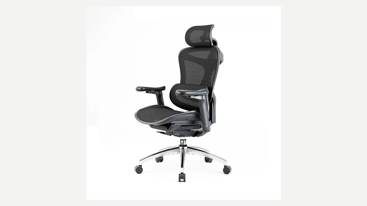 Sihoo Doro C300 ergonomic office chair with dynamic lumbar support