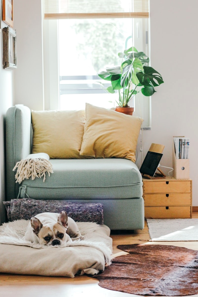 Layered Bohemian Living Room Filled with Plants Patterned Rugs and Rattan