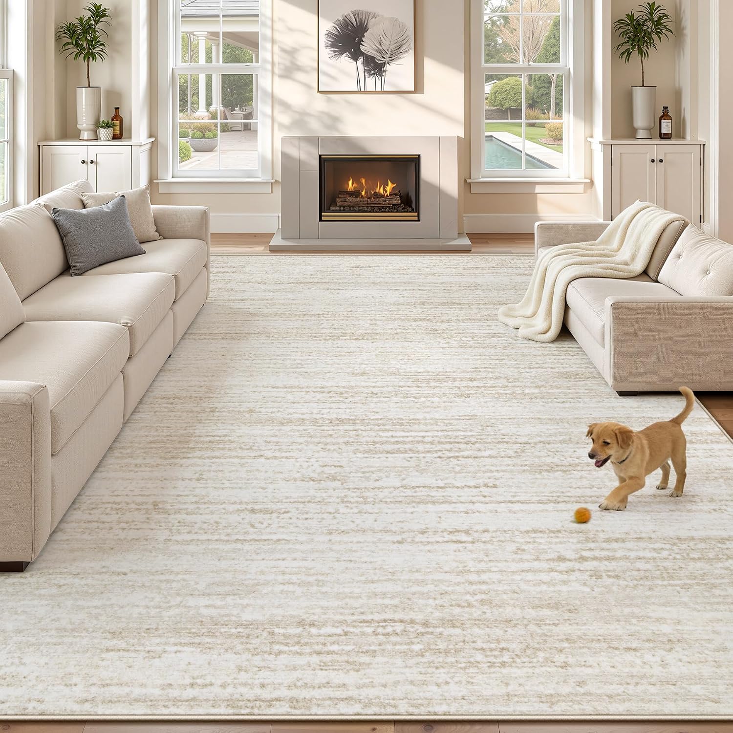 Textured Neutral Area Rug